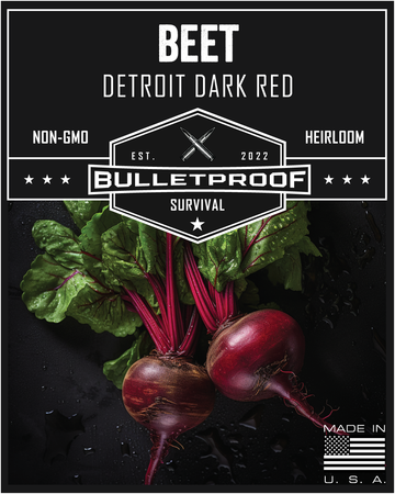 Beet - Detroit Dark Red
