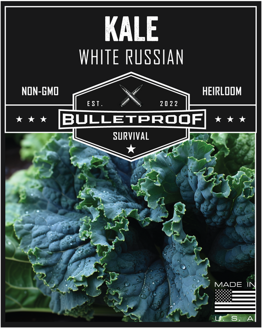 Kale - White Russian